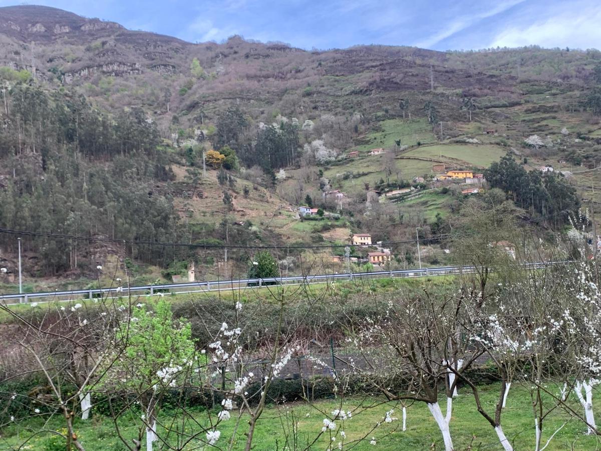 Casa Rural En Santa Cruz-Mieres Бустьельо Экстерьер фото