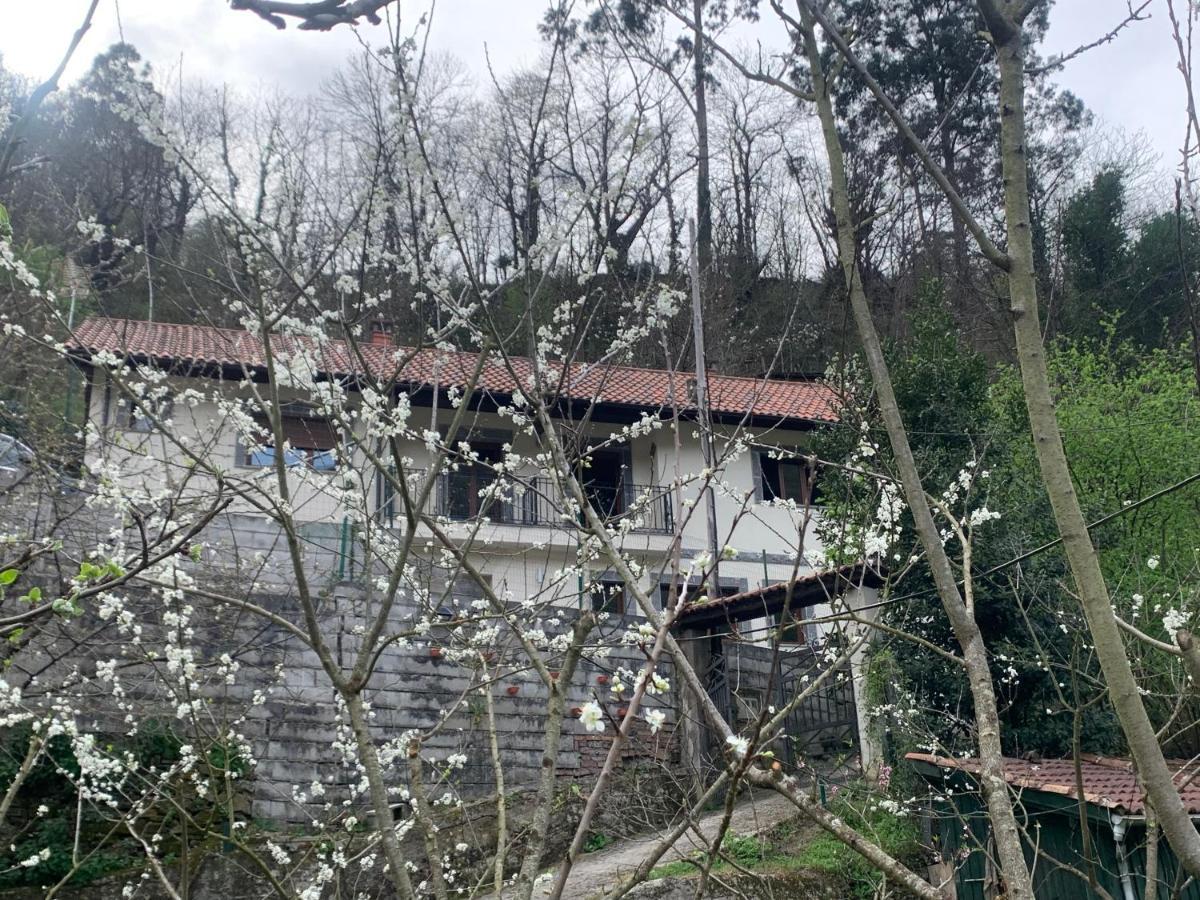 Casa Rural En Santa Cruz-Mieres Бустьельо Экстерьер фото